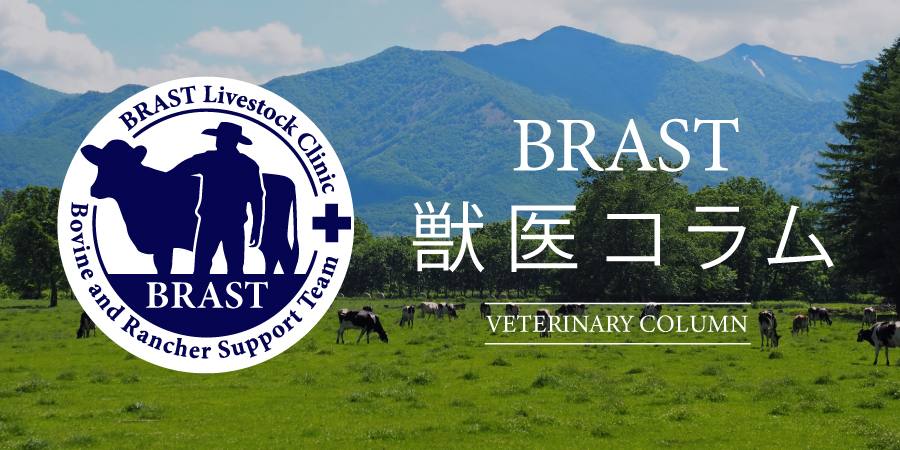 獣医コラム/肢蹄病の原因と予防(17)- 蹄の病気について